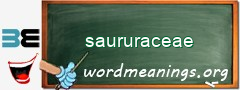 WordMeaning blackboard for saururaceae